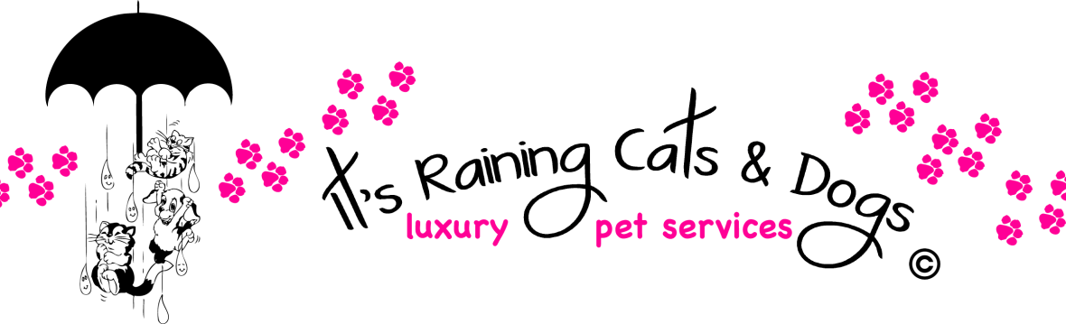 It's Raining Cats & Dogs, LLC Luxury Pet Resort